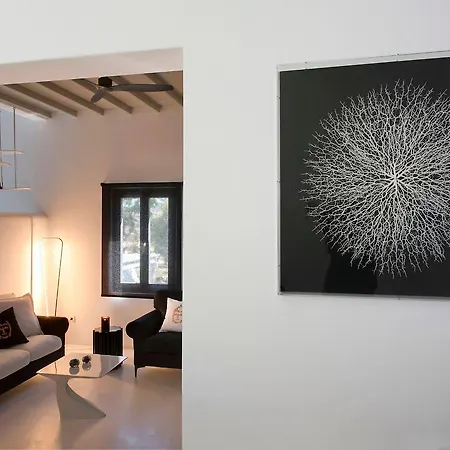 Amalgam Homes Mykonos Villa *